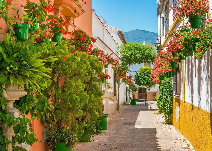 Solarium Penthouse Walk To & Old Town Appartamento Estepona